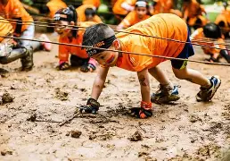 关于赛后NBA季后赛传出新动向；夏洛特黄蜂内部沟通；管理层表态：赛场秩序良好；球队文化再被提及的信息